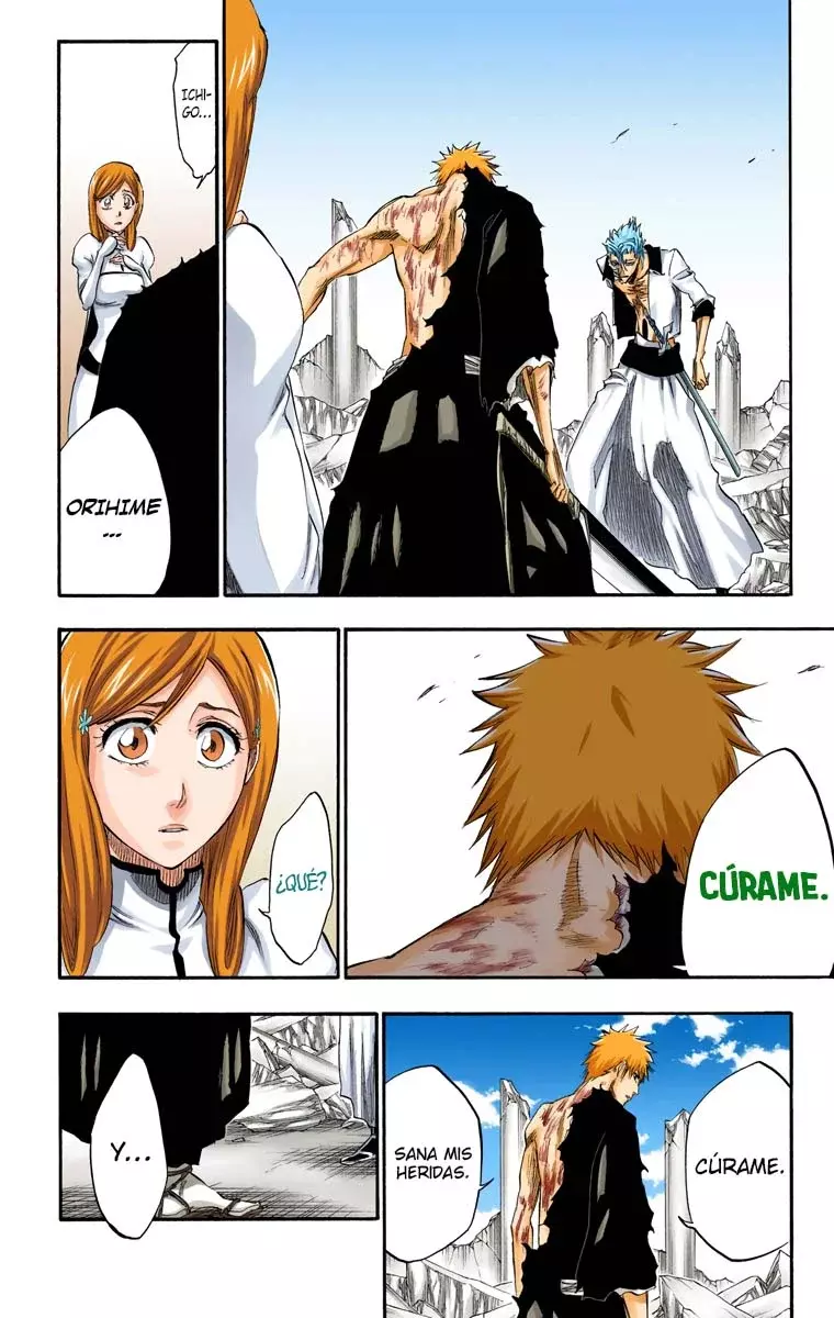 Read Bleach Full Color ES Manga Online
