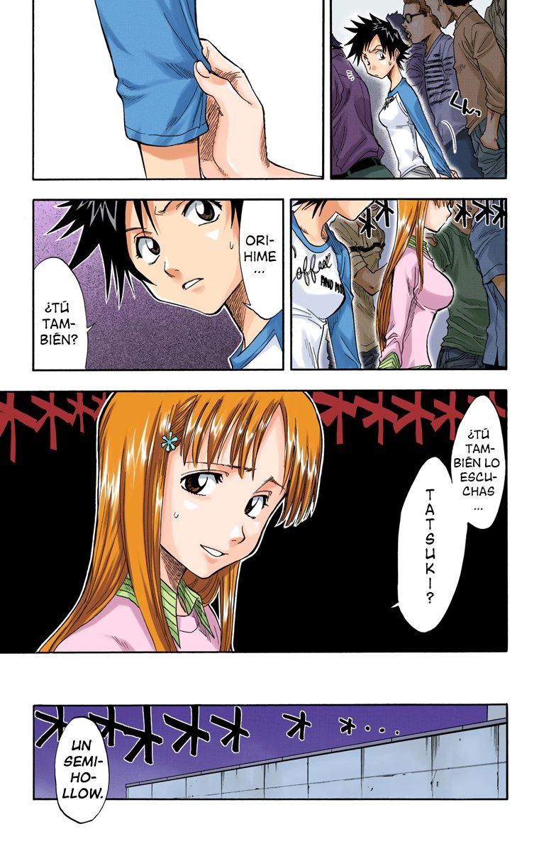 Read Bleach Full Color ES Manga Online