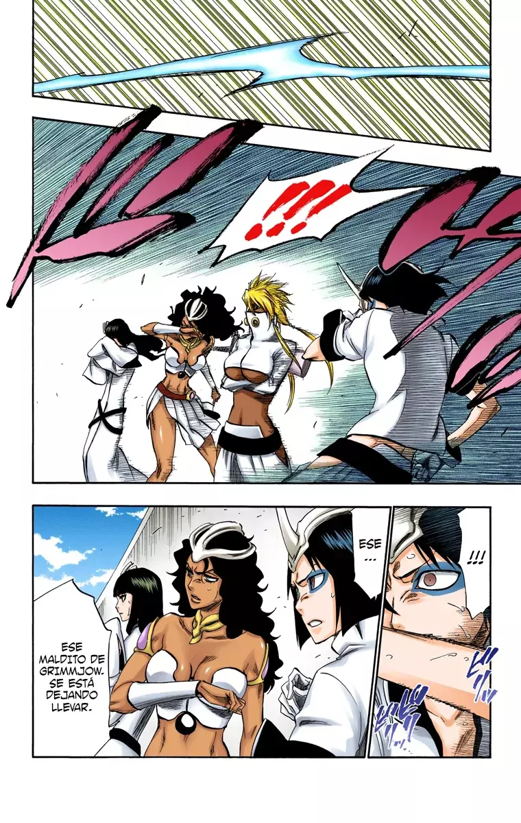 Read Bleach Full Color ES Manga Online