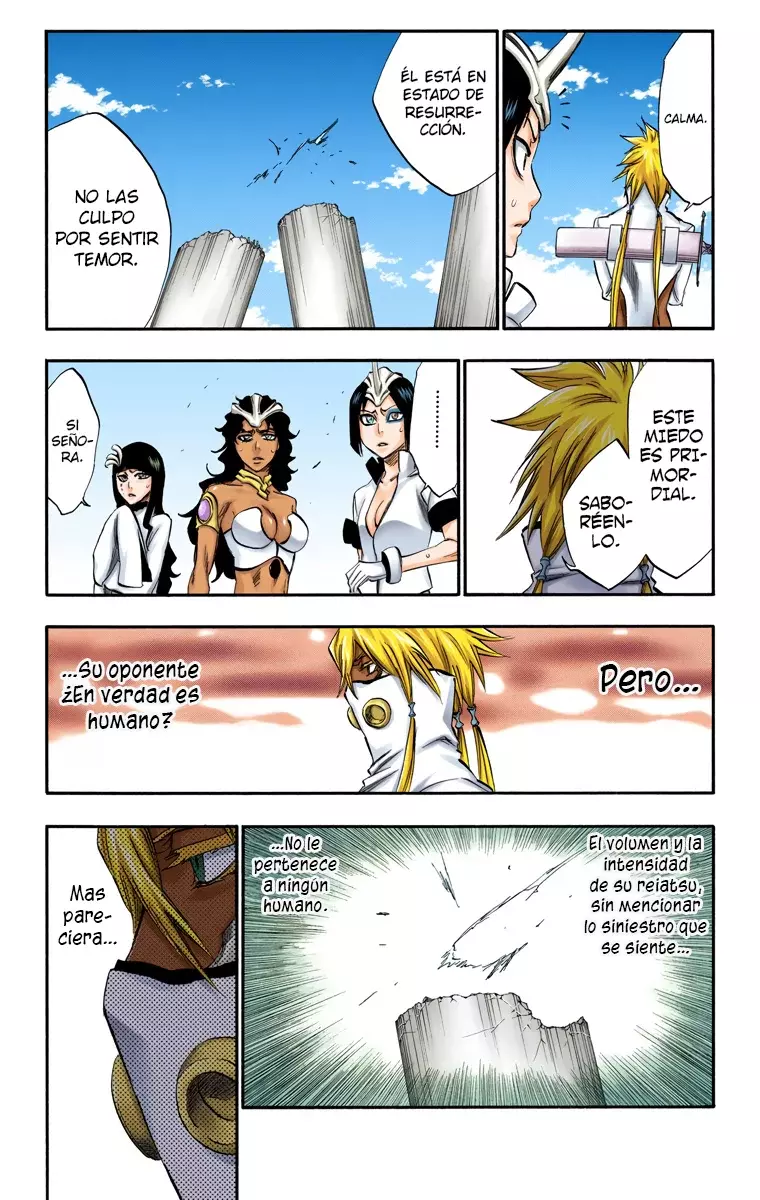 Read Bleach Full Color ES Manga Online