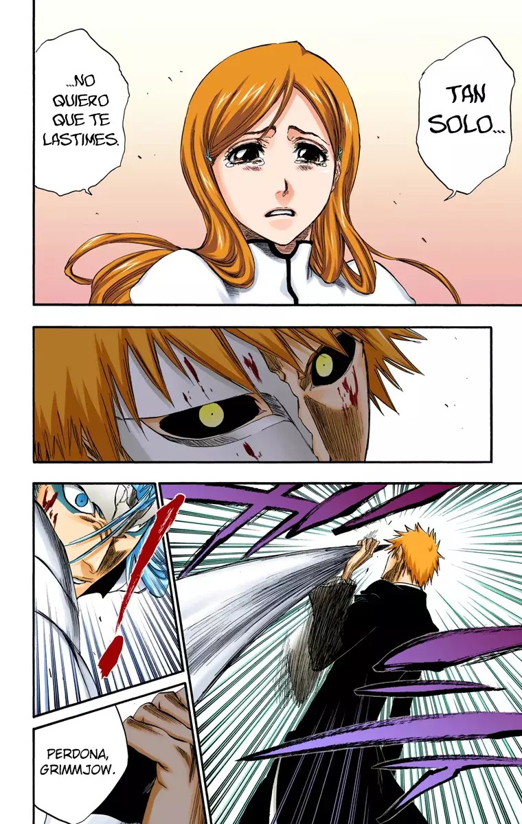 Read Bleach Full Color ES Manga Online