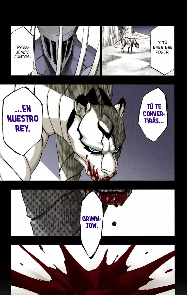 Read Bleach Full Color ES Manga Online
