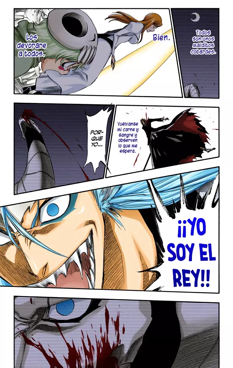 Read Bleach Full Color ES Manga Online