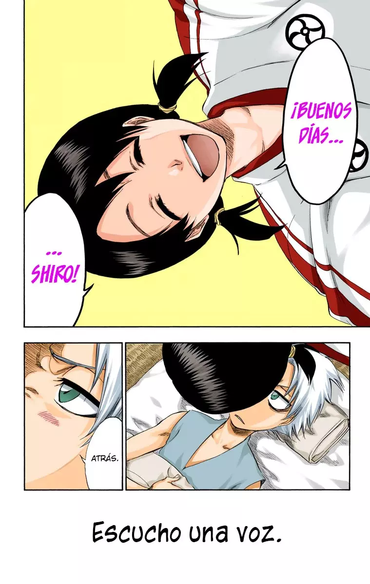 Read Bleach Full Color ES Manga Online