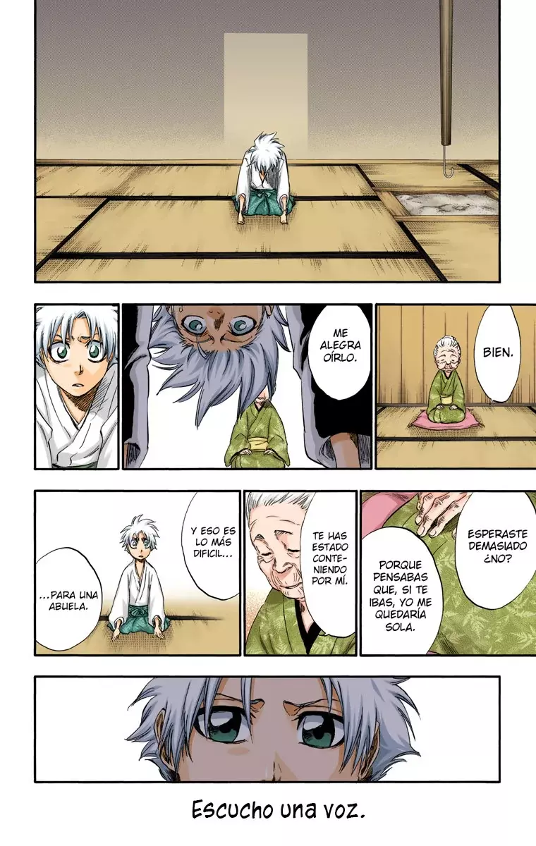 Read Bleach Full Color ES Manga Online