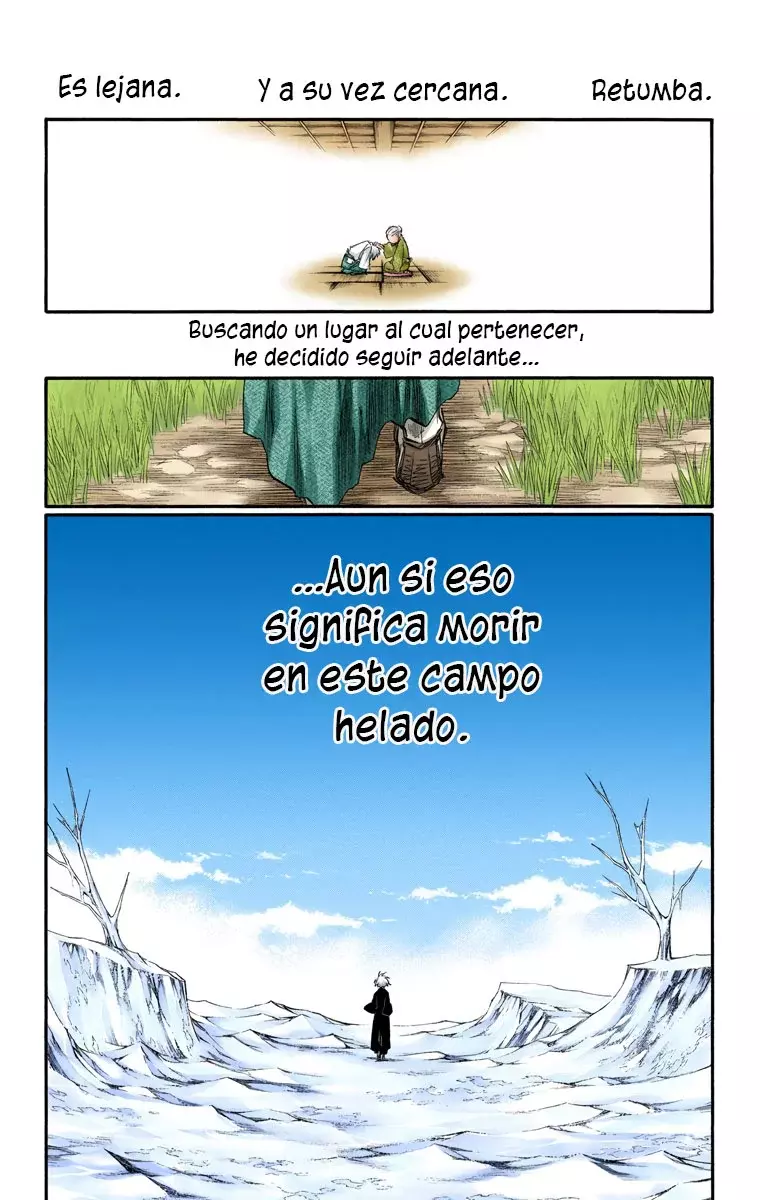 Read Bleach Full Color ES Manga Online