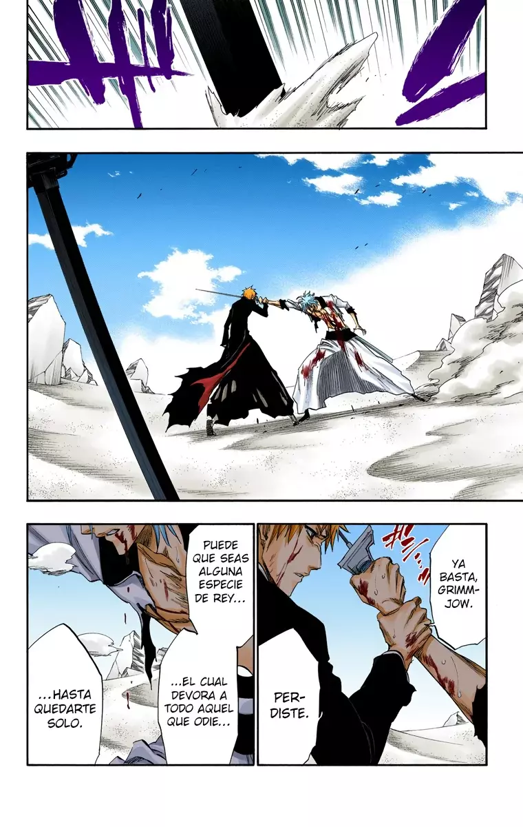 Read Bleach Full Color ES Manga Online
