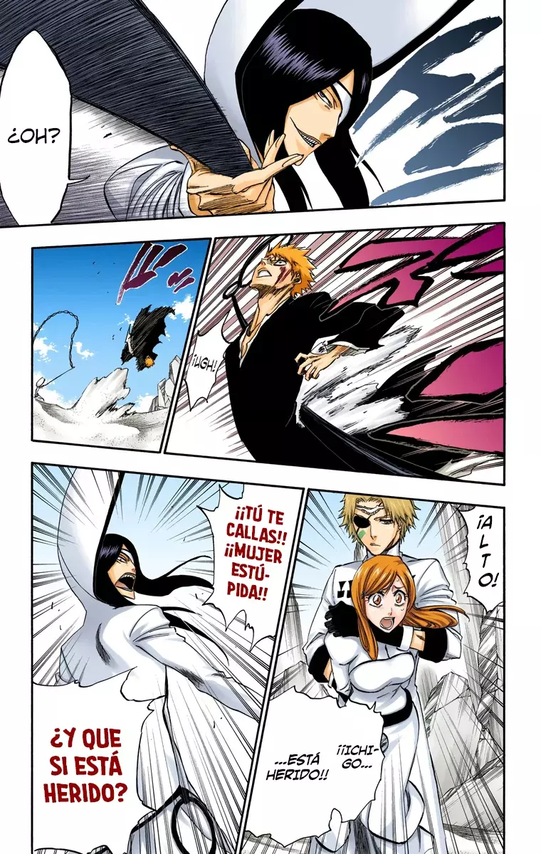 Read Bleach Full Color ES Manga Online