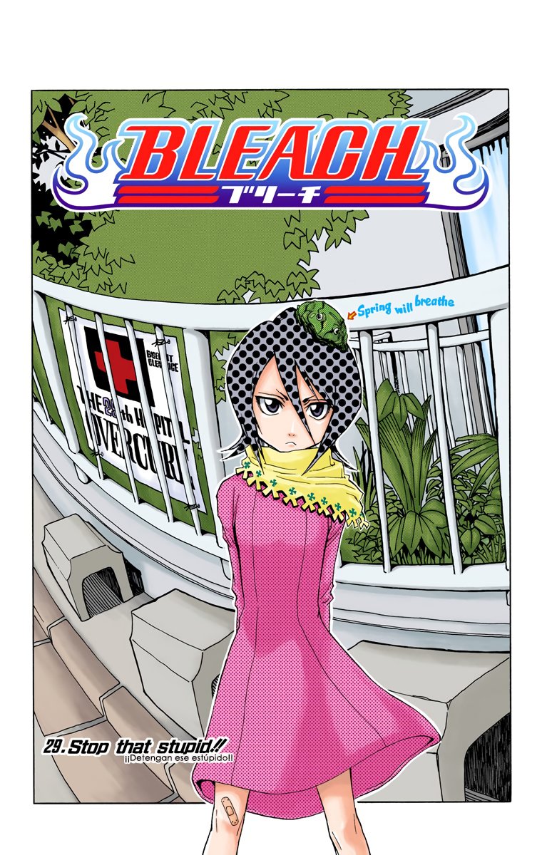 Read Bleach Full Color ES Manga Online