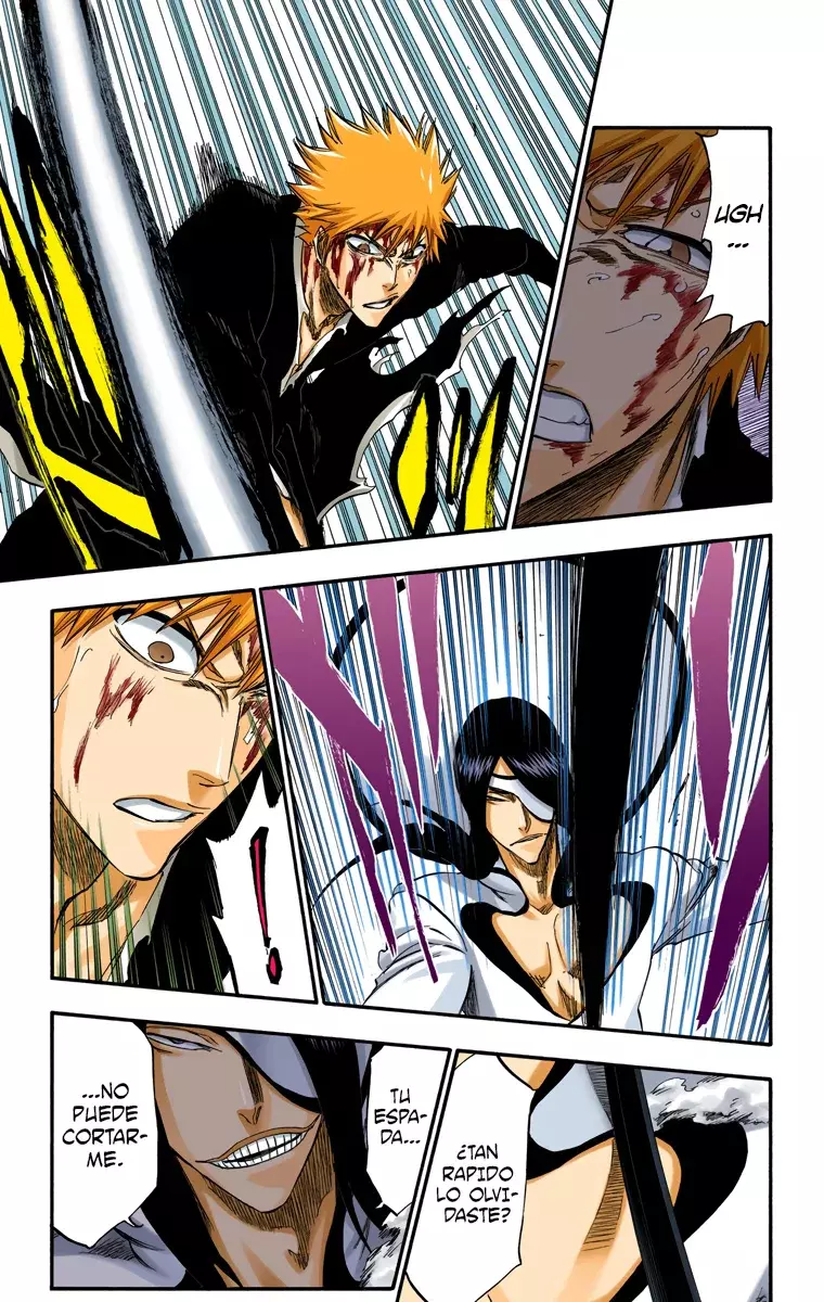 Read Bleach Full Color ES Manga Online