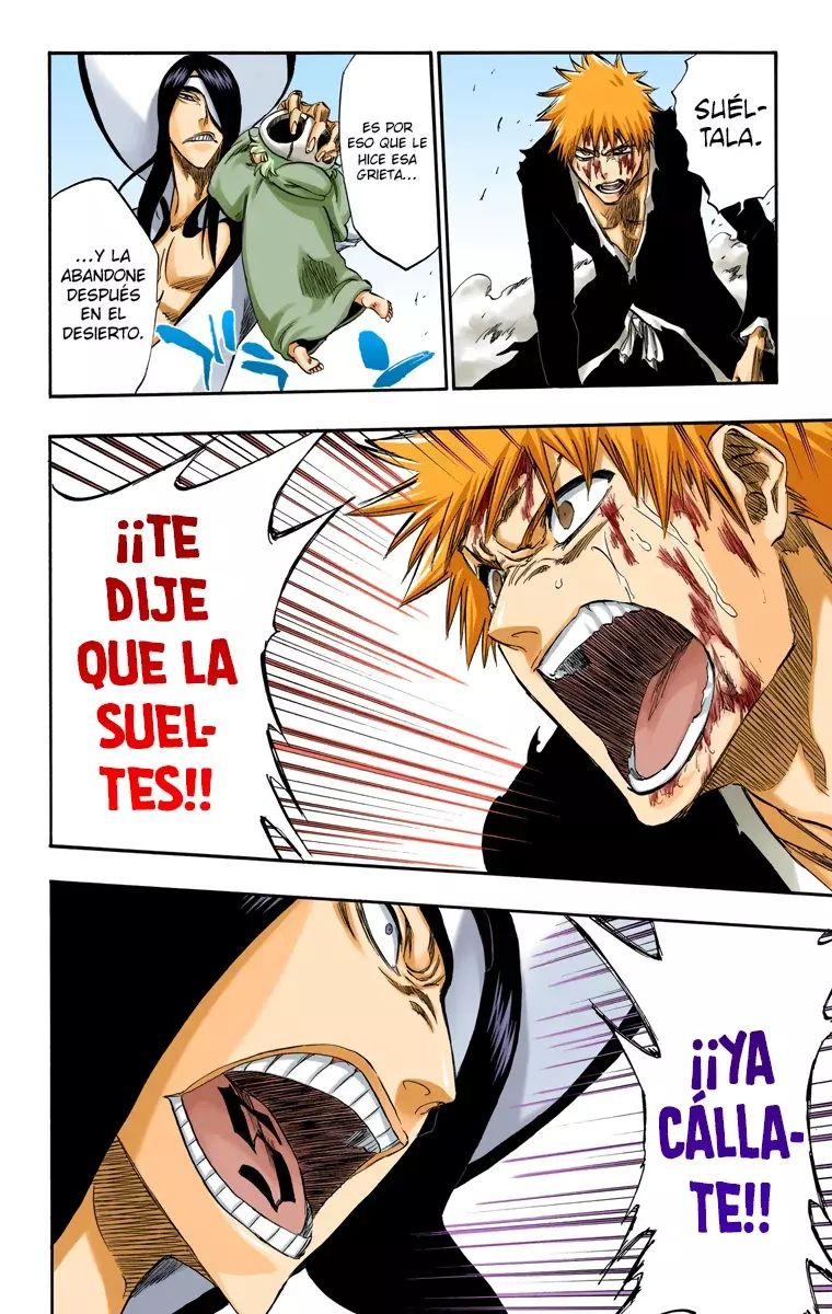 Read Bleach Full Color ES Manga Online