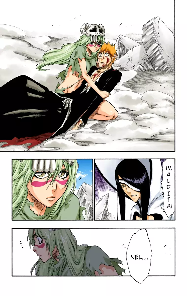 Read Bleach Full Color ES Manga Online
