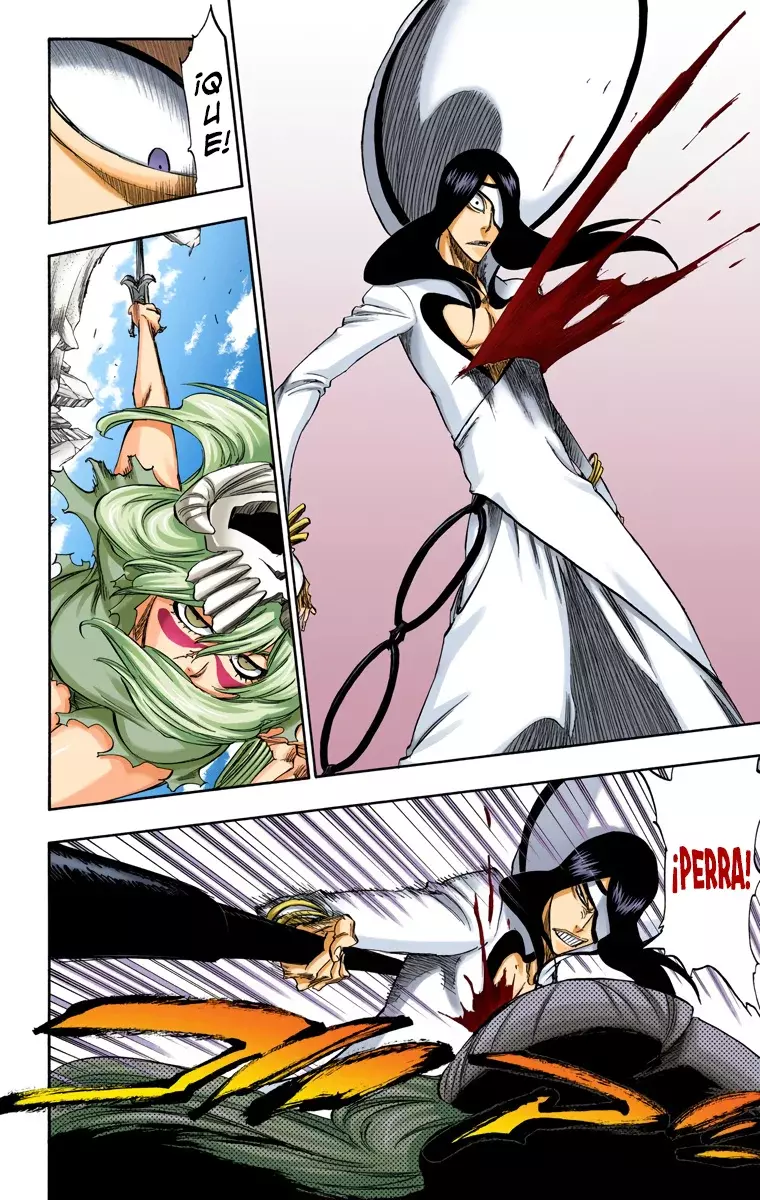 Read Bleach Full Color ES Manga Online