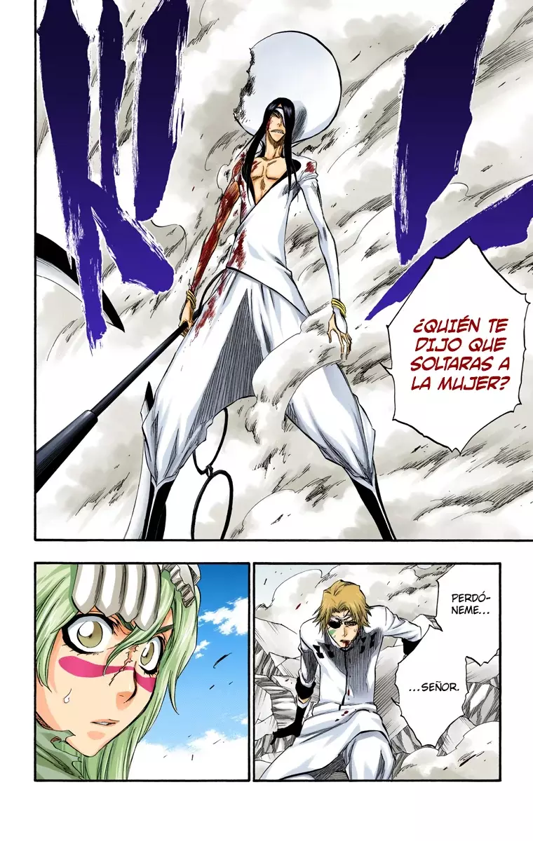 Read Bleach Full Color ES Manga Online