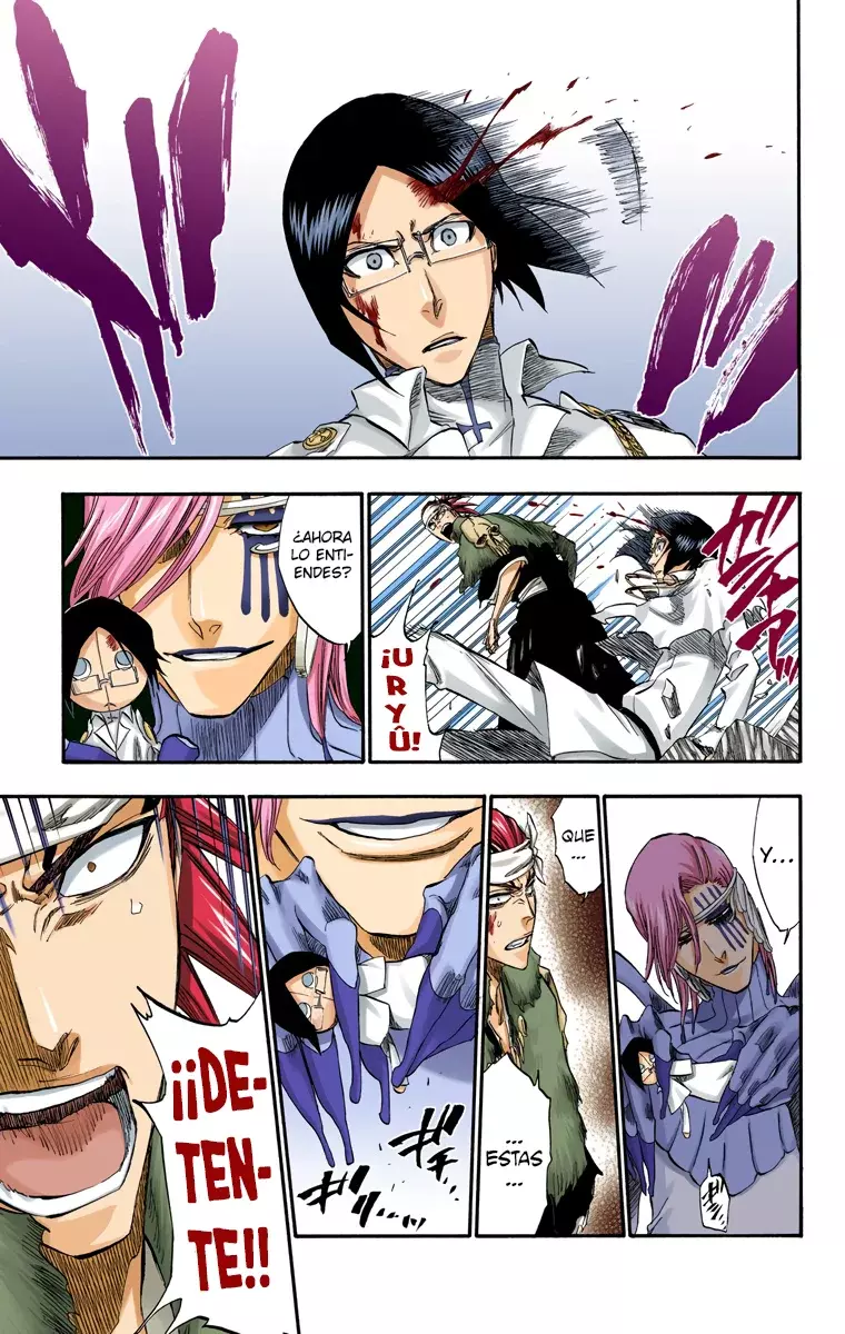 Read Bleach Full Color ES Manga Online