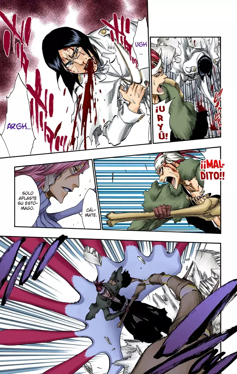 Read Bleach Full Color ES Manga Online