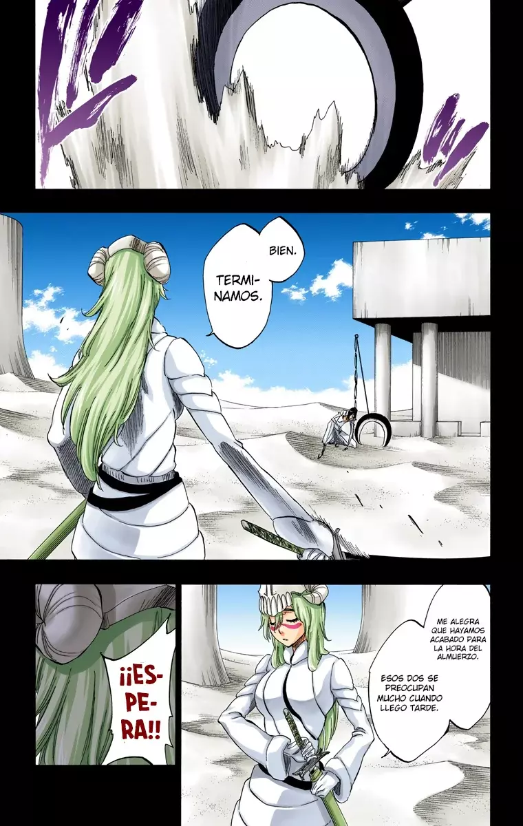 Read Bleach Full Color ES Manga Online