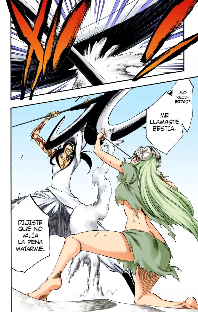 Read Bleach Full Color ES Manga Online