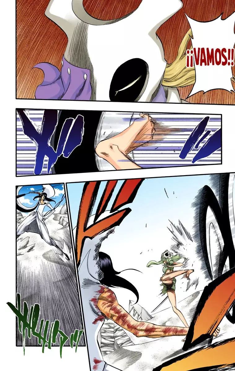 Read Bleach Full Color ES Manga Online