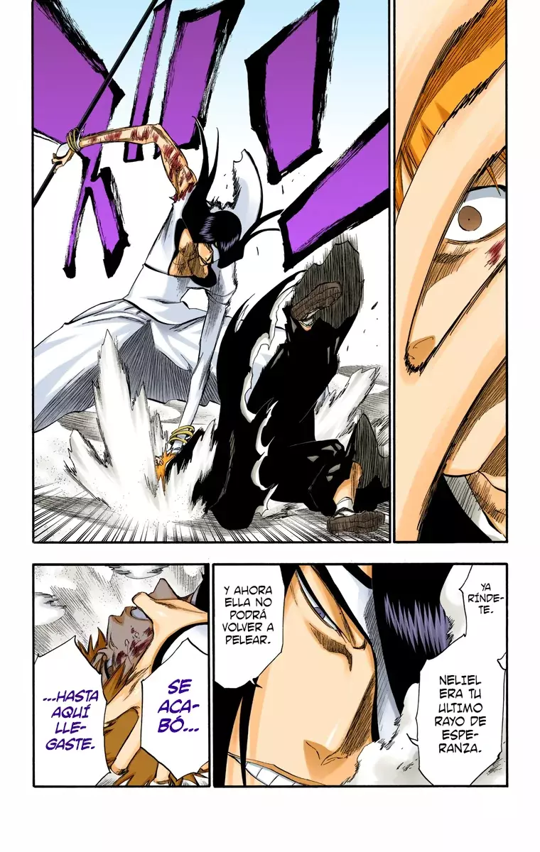 Read Bleach Full Color ES Manga Online