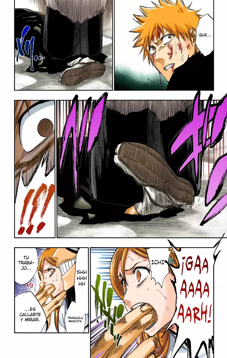 Read Bleach Full Color ES Manga Online