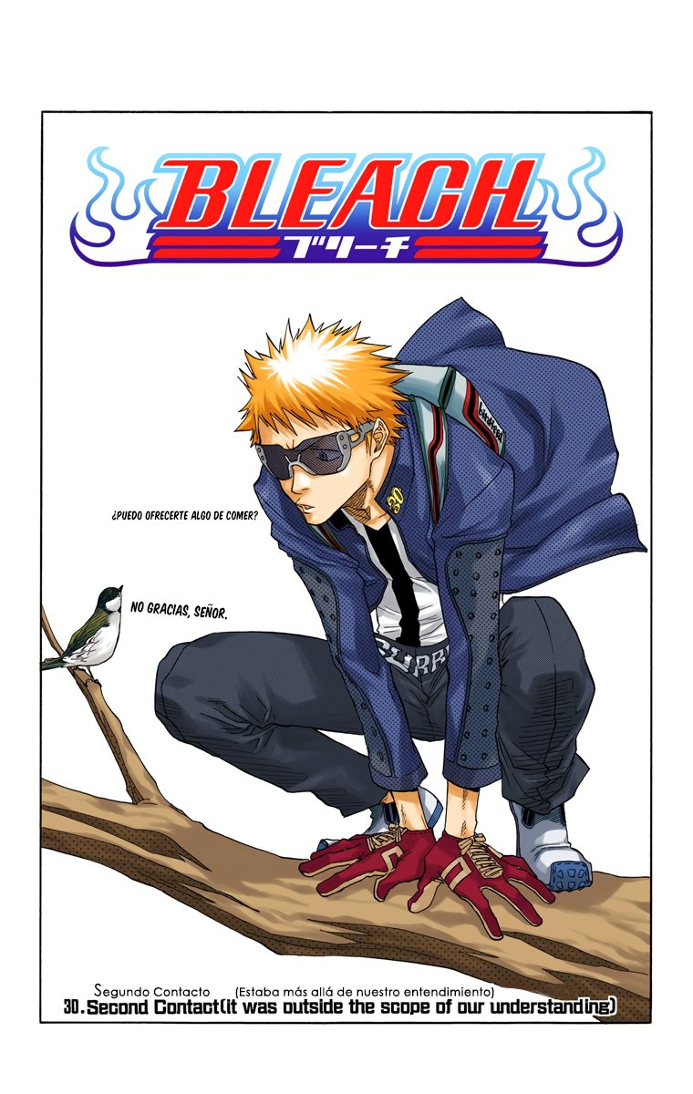 Read Bleach Full Color ES Manga Online