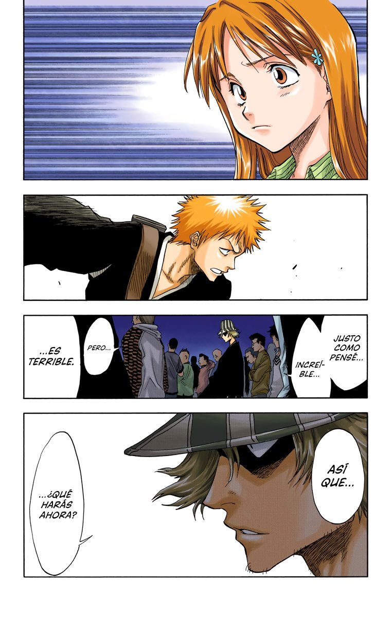 Read Bleach Full Color ES Manga Online