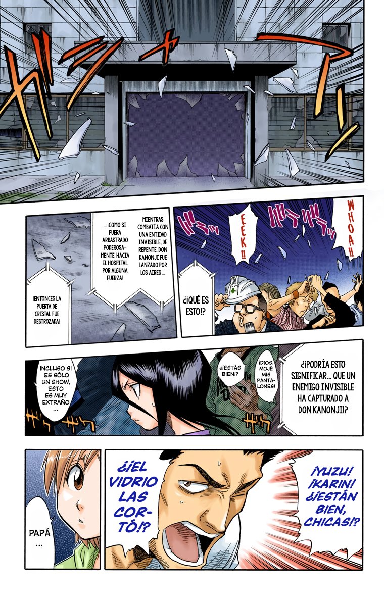 Read Bleach Full Color ES Manga Online
