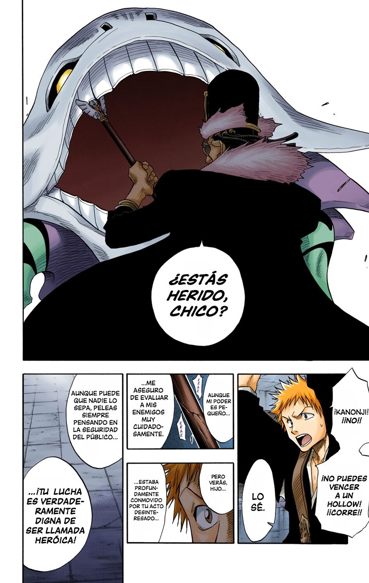 Read Bleach Full Color ES Manga Online