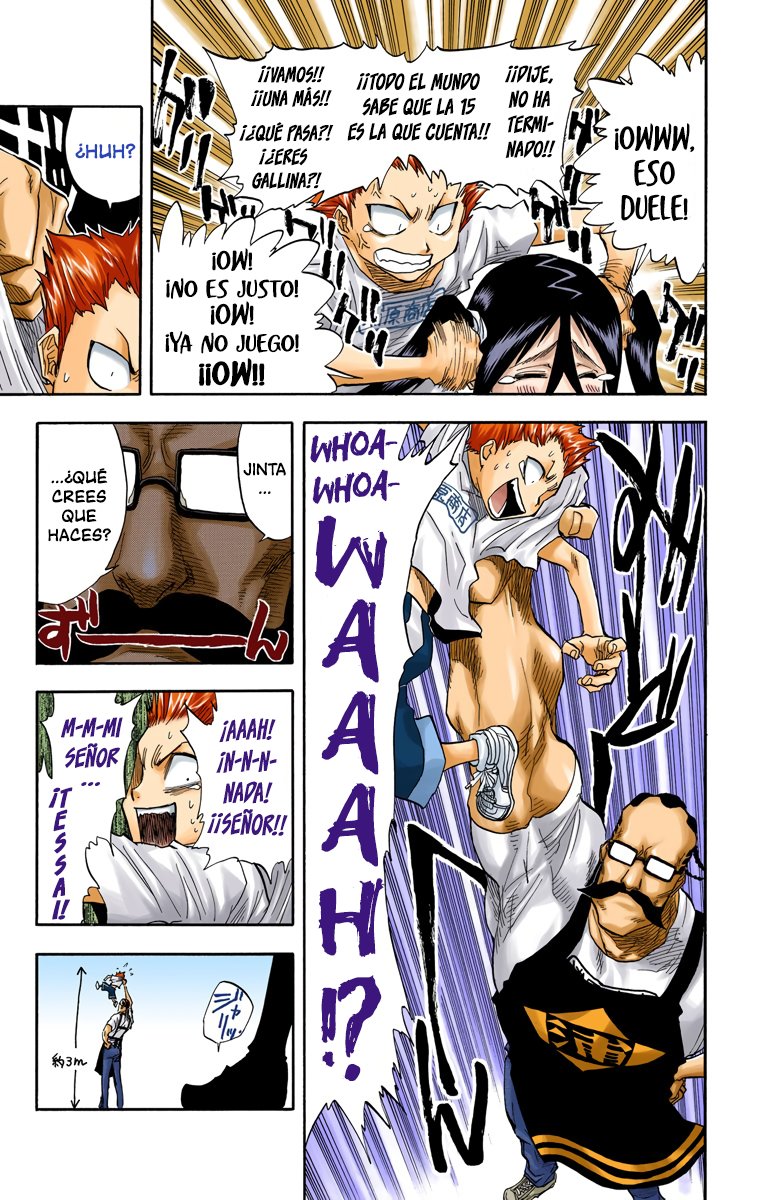 Read Bleach Full Color ES Manga Online