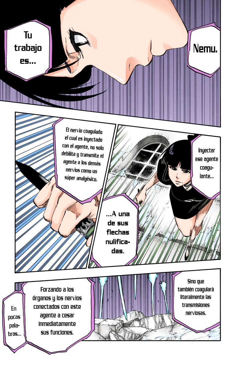 Read Bleach Full Color ES Manga Online