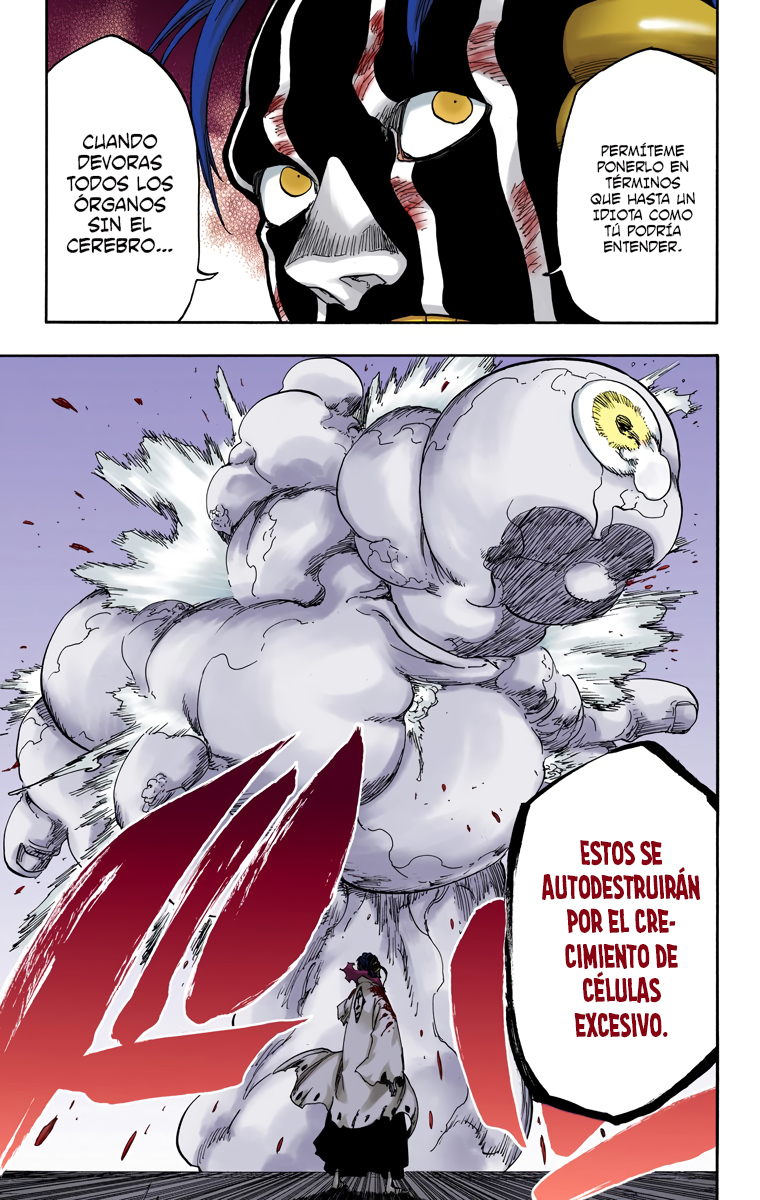 Read Bleach Full Color ES Manga Online