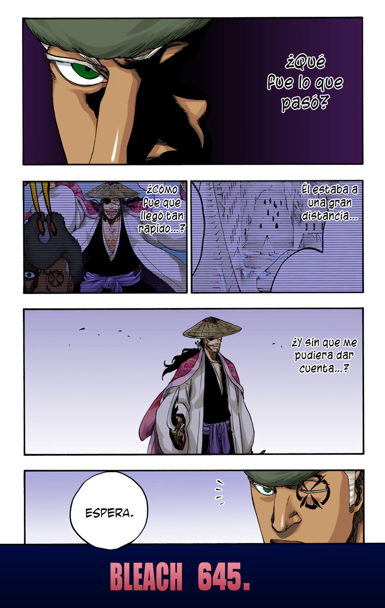 Read Bleach Full Color ES Manga Online