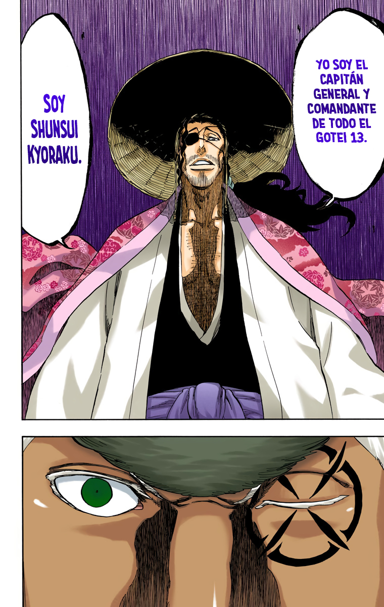 Read Bleach Full Color ES Manga Online