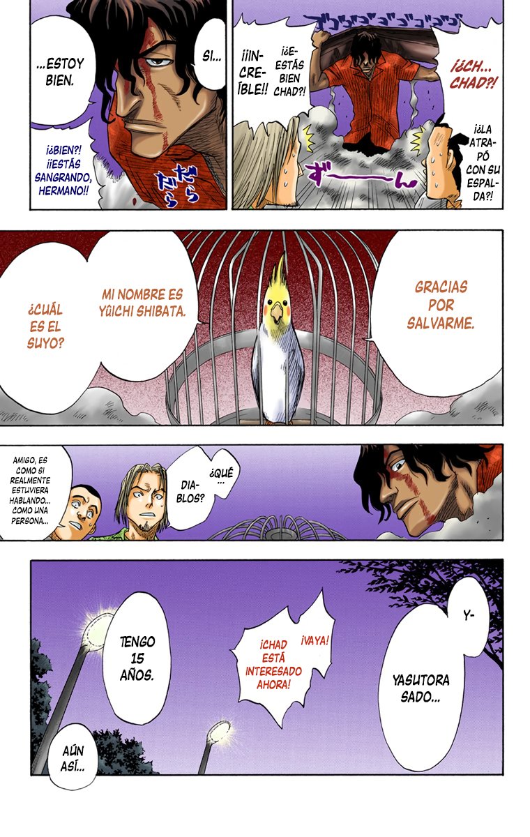 Read Bleach Full Color ES Manga Online