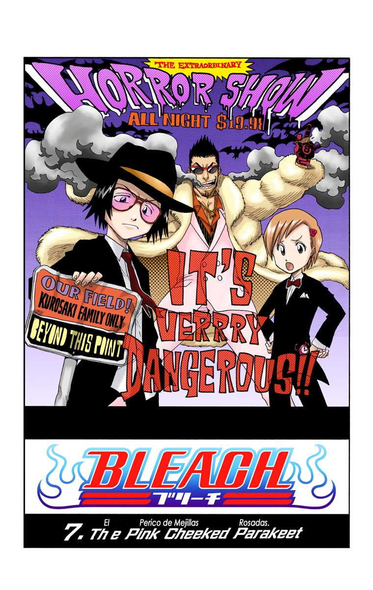 Read Bleach Full Color ES Manga Online