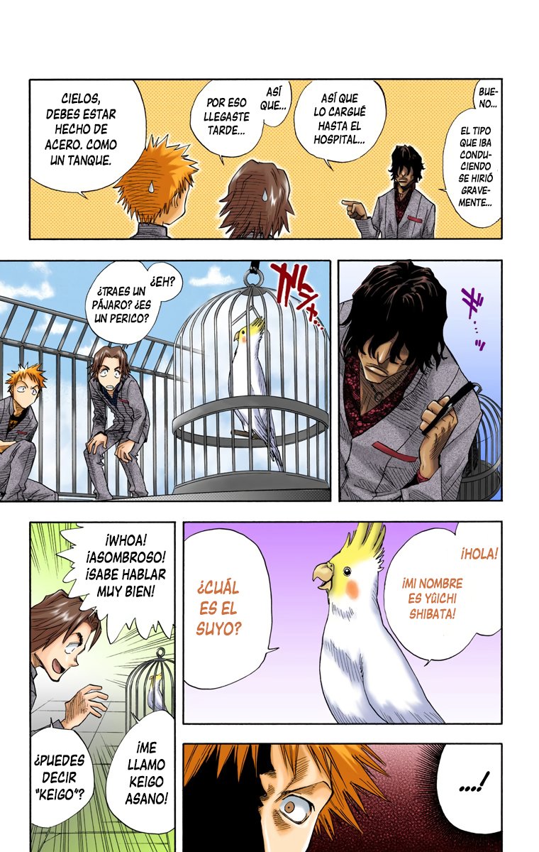 Read Bleach Full Color ES Manga Online