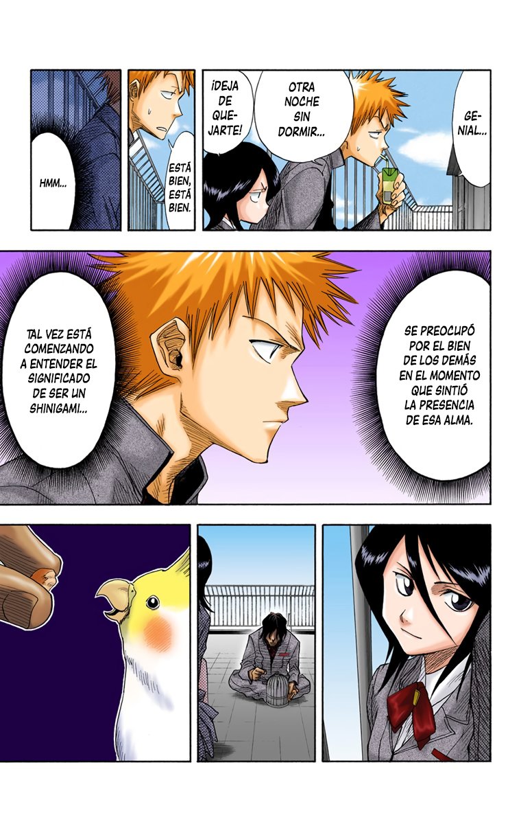 Read Bleach Full Color ES Manga Online