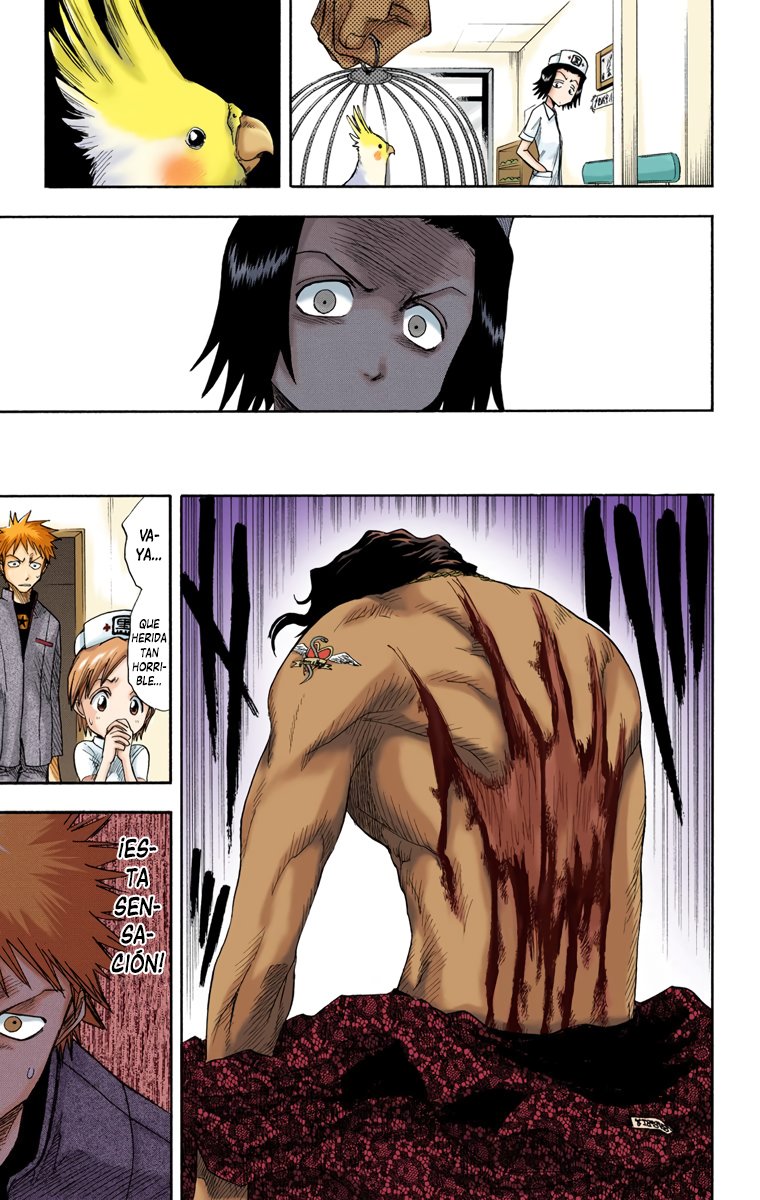Read Bleach Full Color ES Manga Online