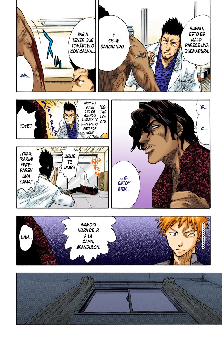 Read Bleach Full Color ES Manga Online