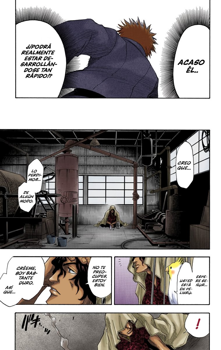 Read Bleach Full Color ES Manga Online