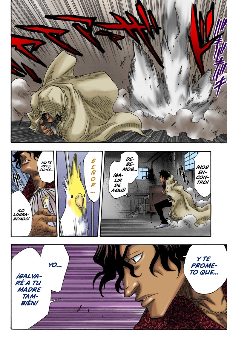 Read Bleach Full Color ES Manga Online