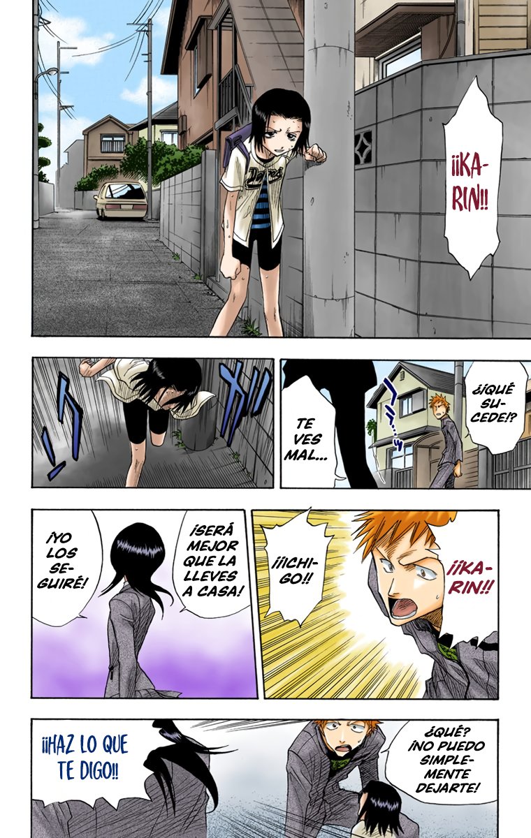 Read Bleach Full Color ES Manga Online