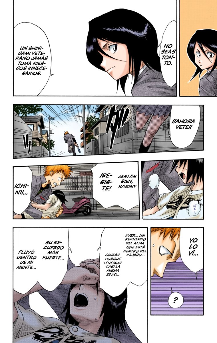 Read Bleach Full Color ES Manga Online