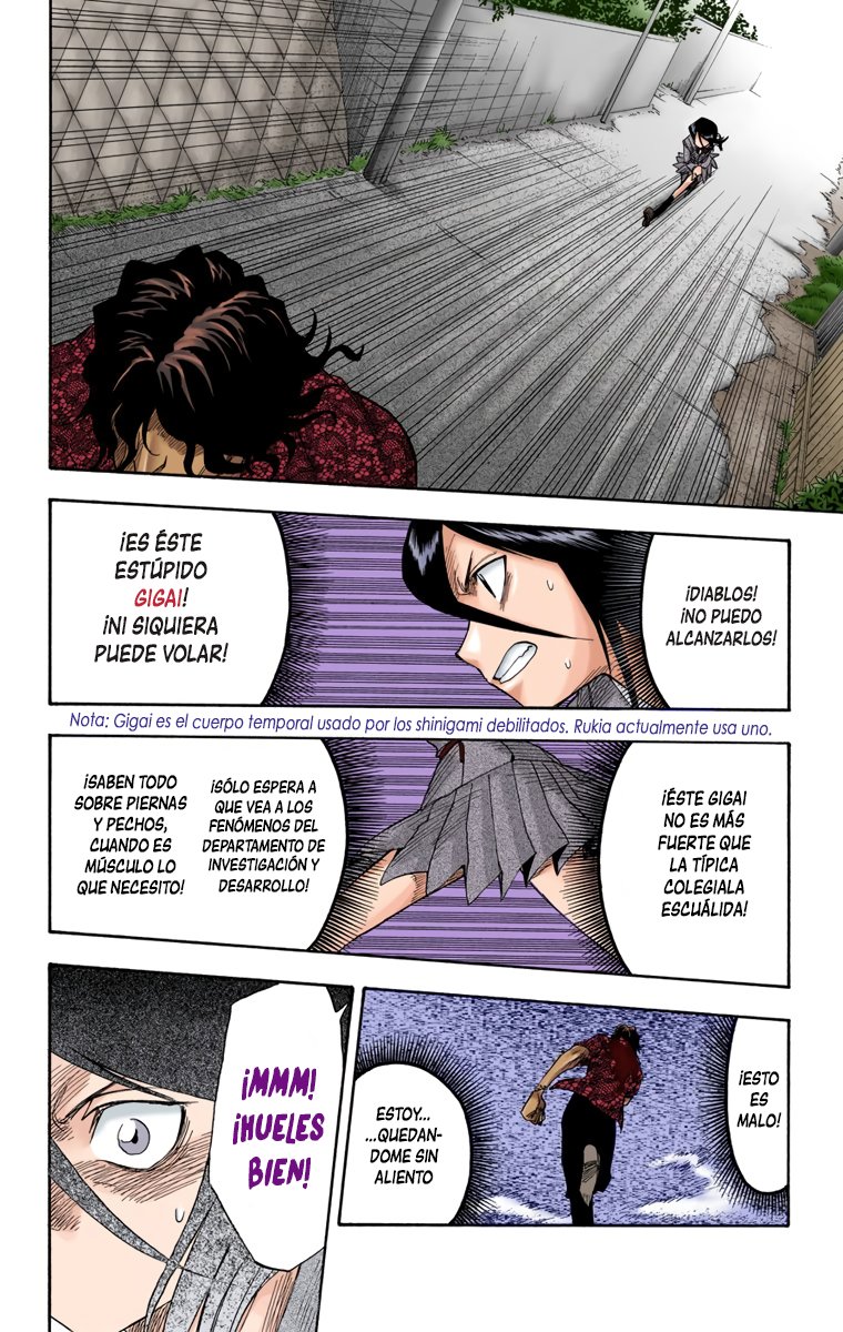 Read Bleach Full Color ES Manga Online