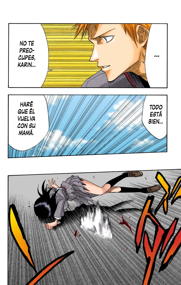 Read Bleach Full Color ES Manga Online