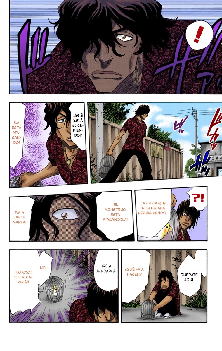 Read Bleach Full Color ES Manga Online