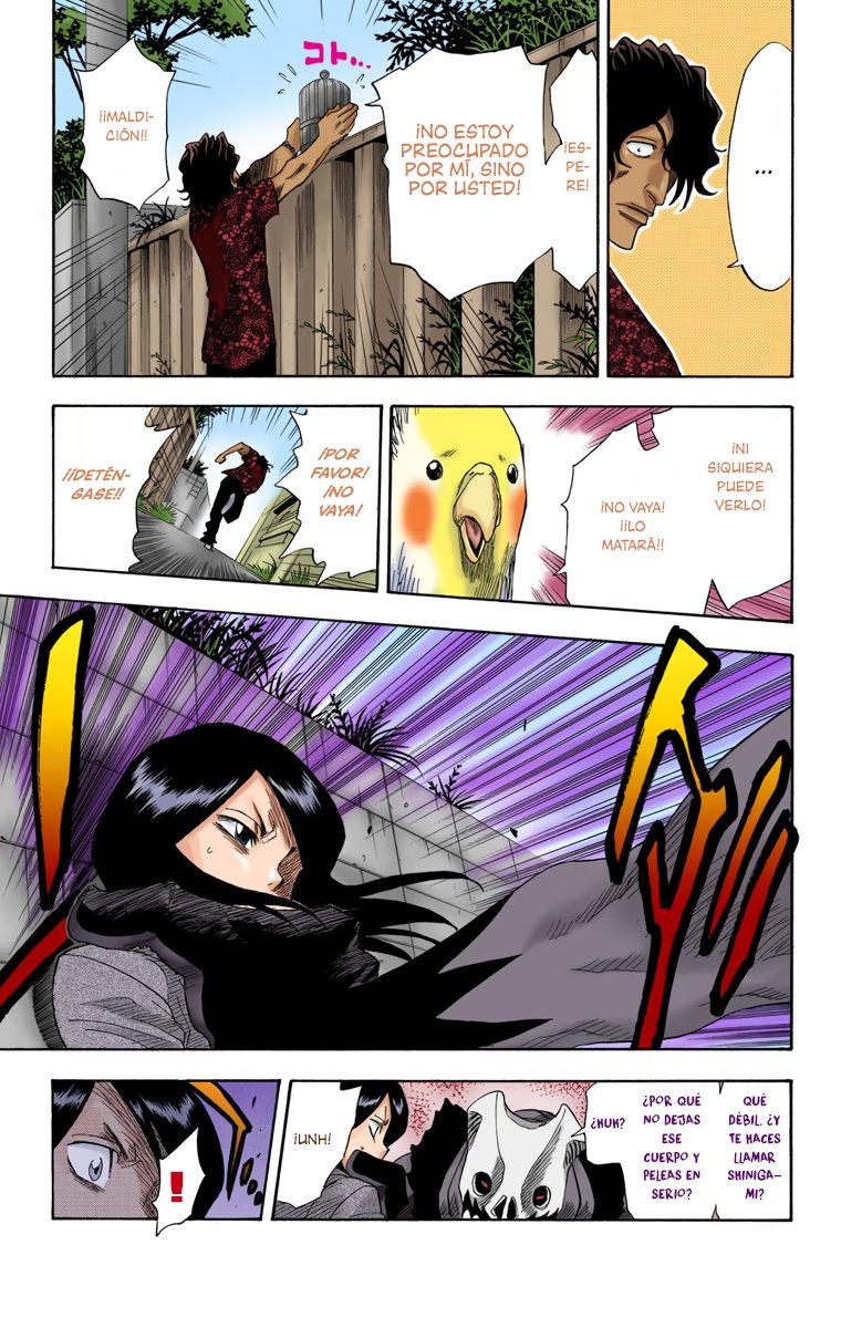 Read Bleach Full Color ES Manga Online