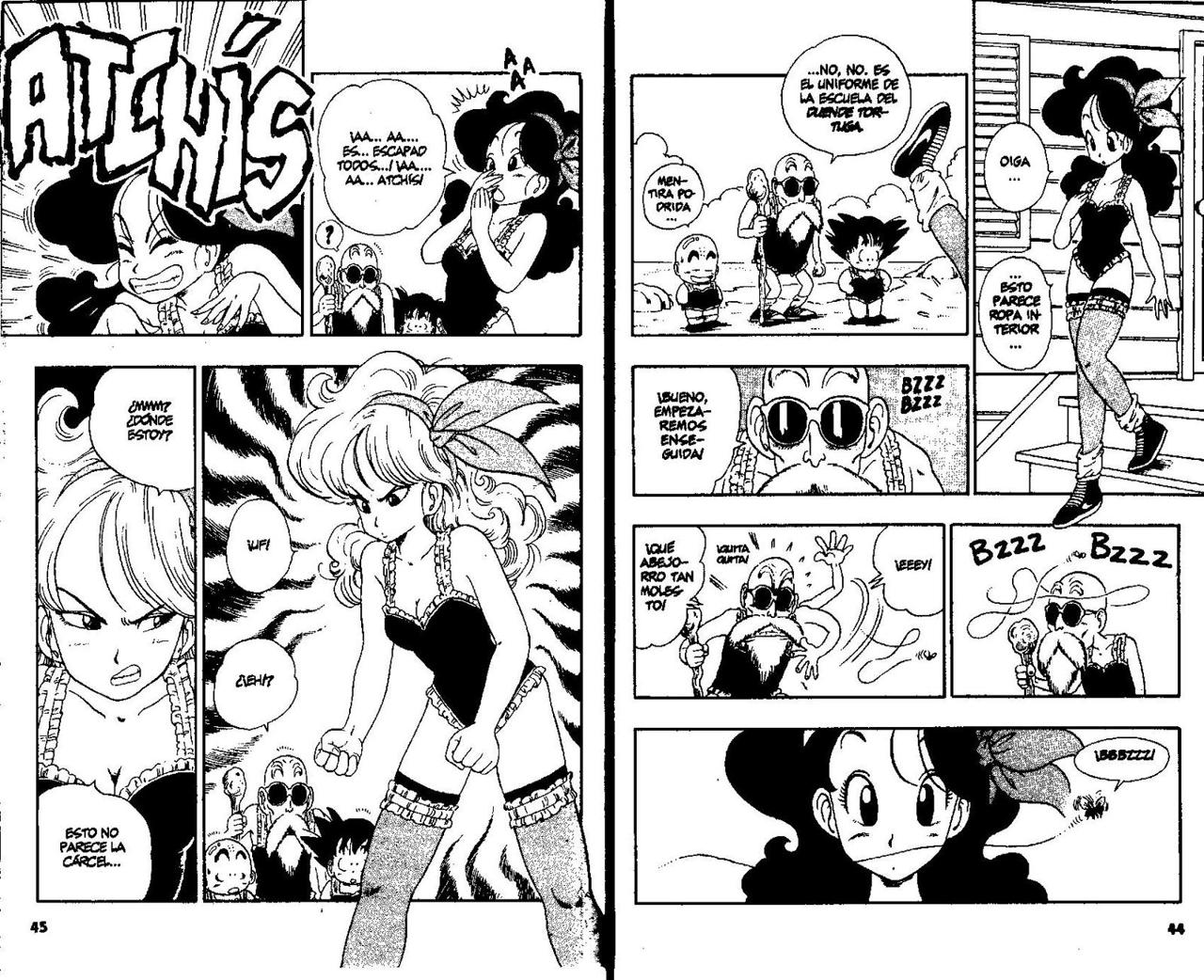Read Dragon Ball ES Manga Online