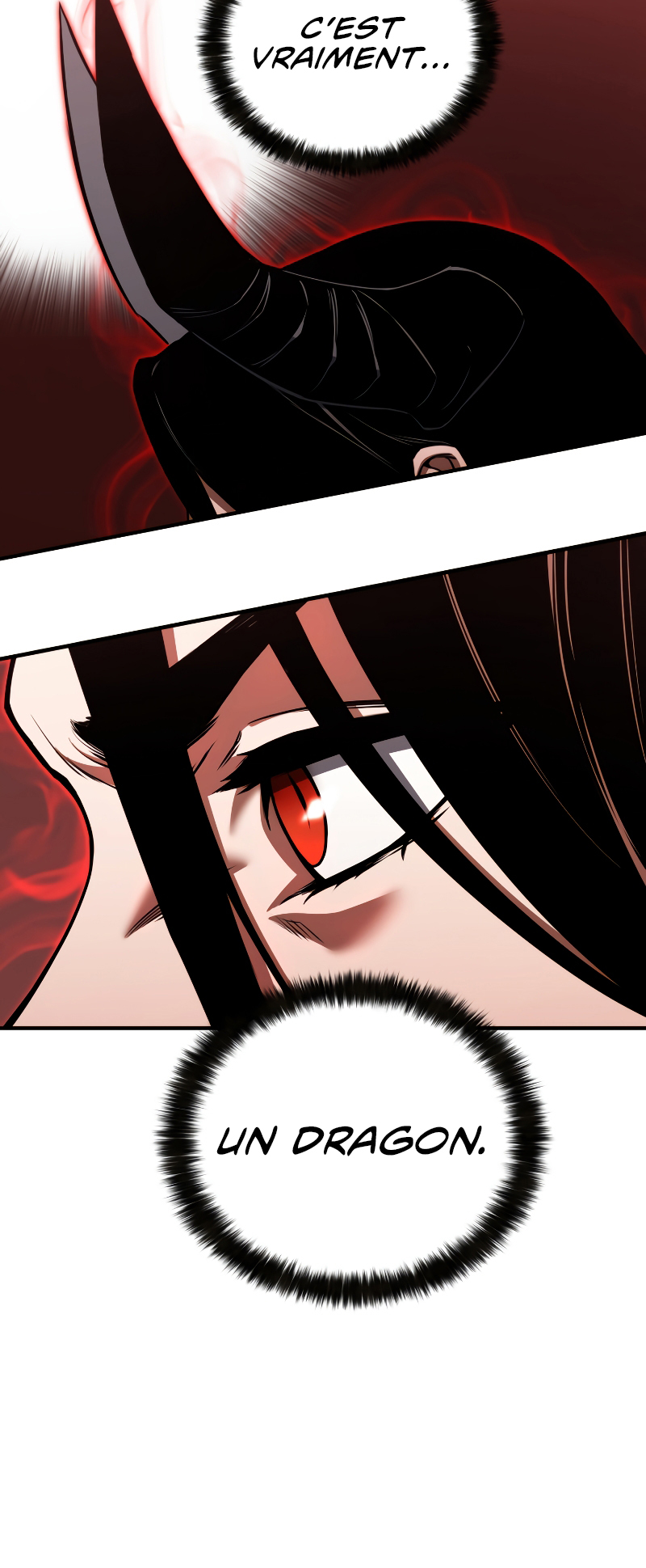 Read Absolute Necromancer FR Manga Online